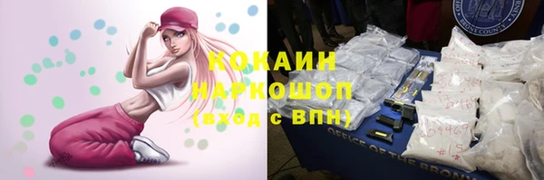твердый Алексин