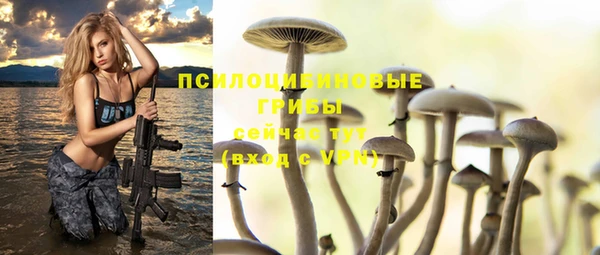 твердый Алексин