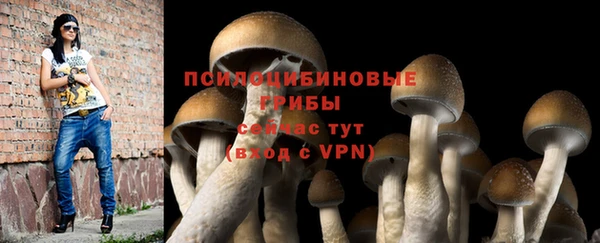 2c-b Алзамай